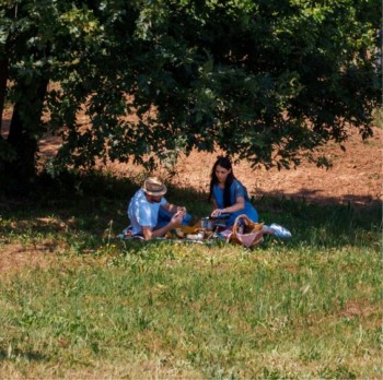 Merenda Contadina alla Cerreta
