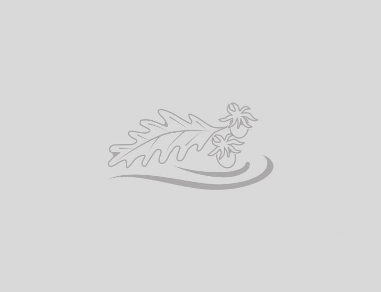 Trattamenti Vento D’Estate 2025