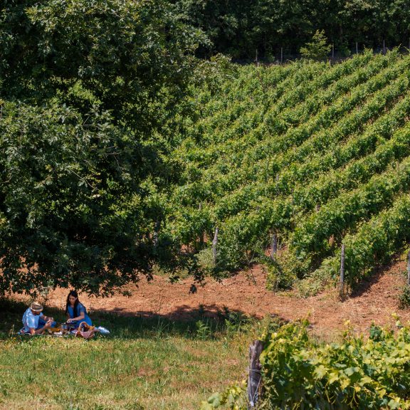 Pacchetti 25 Aprile 2026