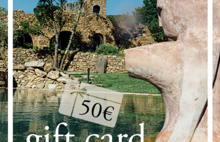 GIFT CARD EURO 50