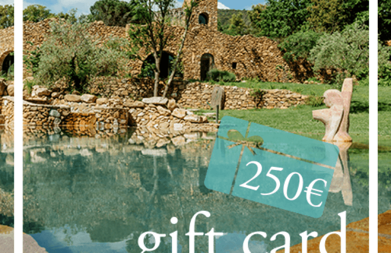 GIFT CARD EURO 250,00