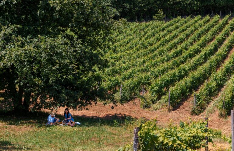 Pacchetti Pasqua e Pasquetta 2026