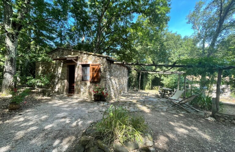 Pacchetto Soggiorno “Una Notte nel Bosco” – Casetta del Bosco