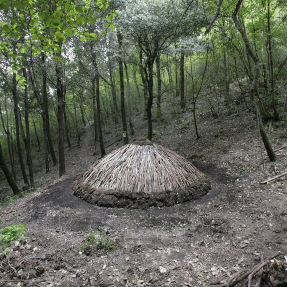 Terme e Visita al Museo del Bosco