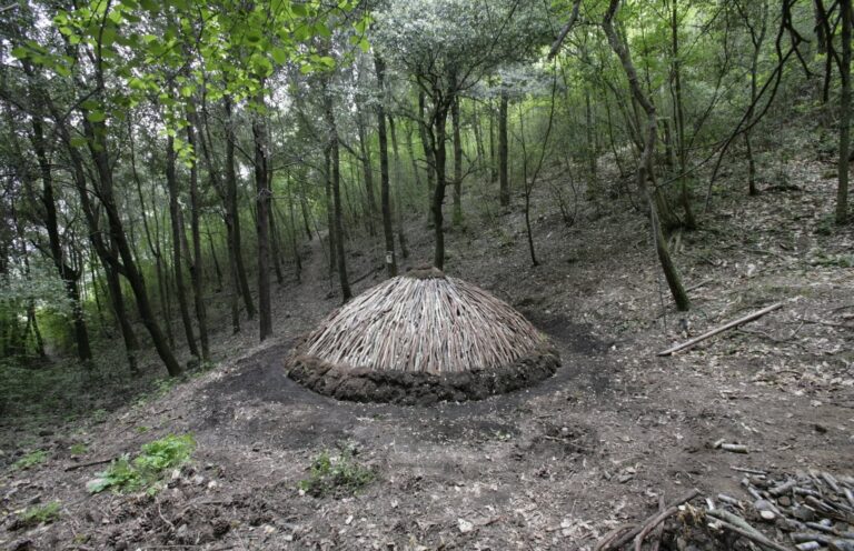 Terme e Visita al Museo del Bosco